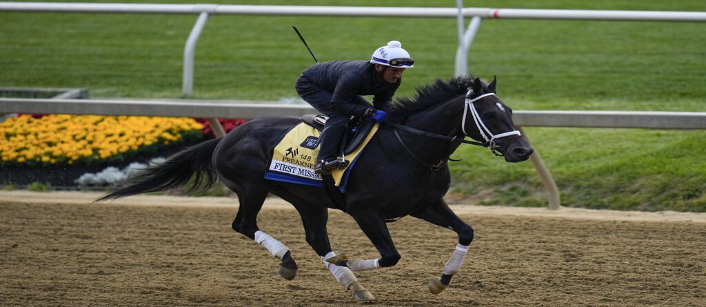 Preakness Stakes Odds