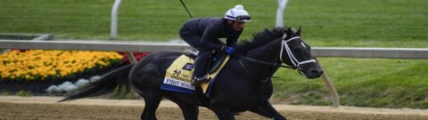 Up-To-Date Preakness Stakes Odds After First Mission Scratched