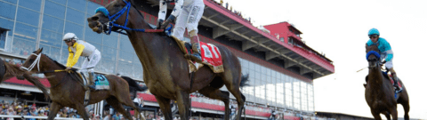 Preakness Stakes 2023: Coffeewithchris Horse Racing Profile