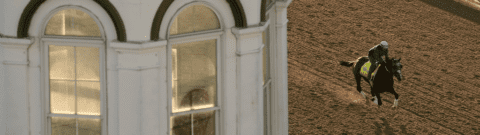 Skinner, Continuar Among 4 Kentucky Derby Scratches: How Did Odds React?