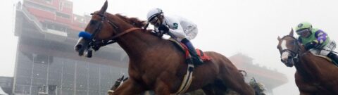 How Many Triple Crown Winners Have Raced In Preakness?