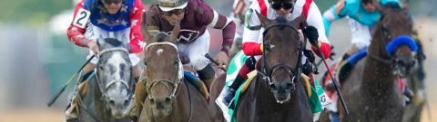 Preakness Stakes 2023: National Treasure Horse Racing Profile