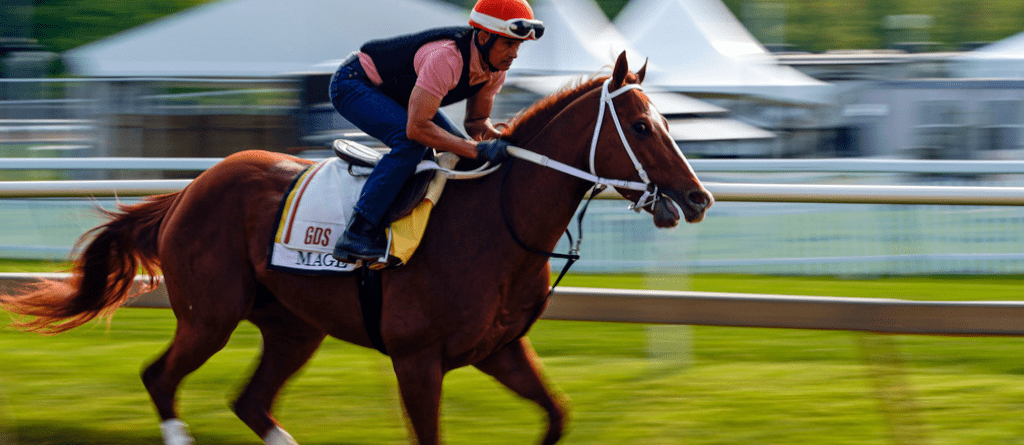 Preakness Brisnet Speed Figures