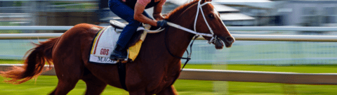 Brisnet Speed Figure Analysis For 2023 Preakness Stakes