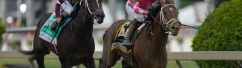 Preakness Stakes Payouts | Win, Place, Show And Exotics