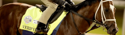 Kentucky Derby 2023: Verifying Horse Racing Profile