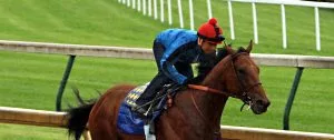 Kentucky Derby Odds History: How Often Do Favorites Win?