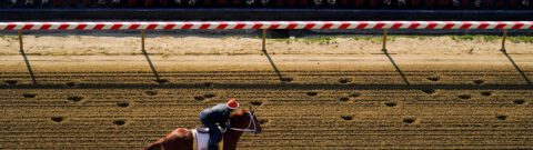 2023 Preakness: Best Beyer Speed Figures For Every Horse