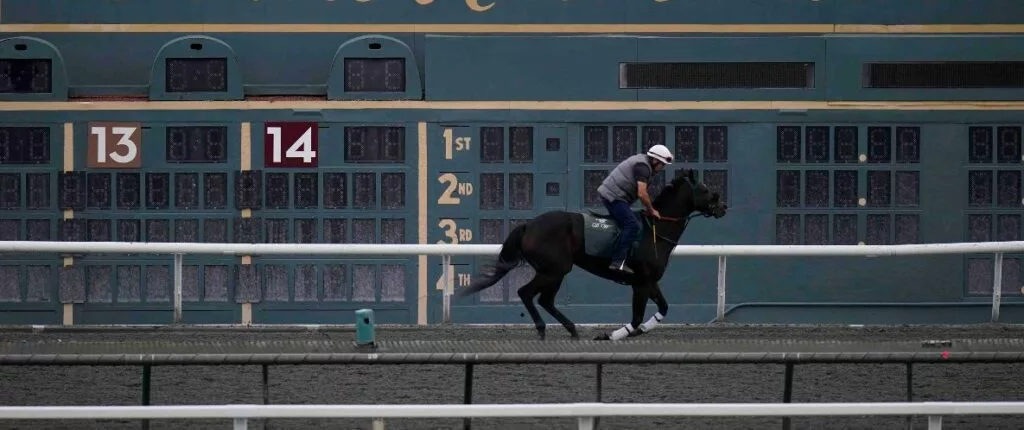 breeders cup juvenile
