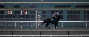 2023 Breeders' Cup Juvenile Horse Racing Betting: First Look At 150th KY Derby Prospects