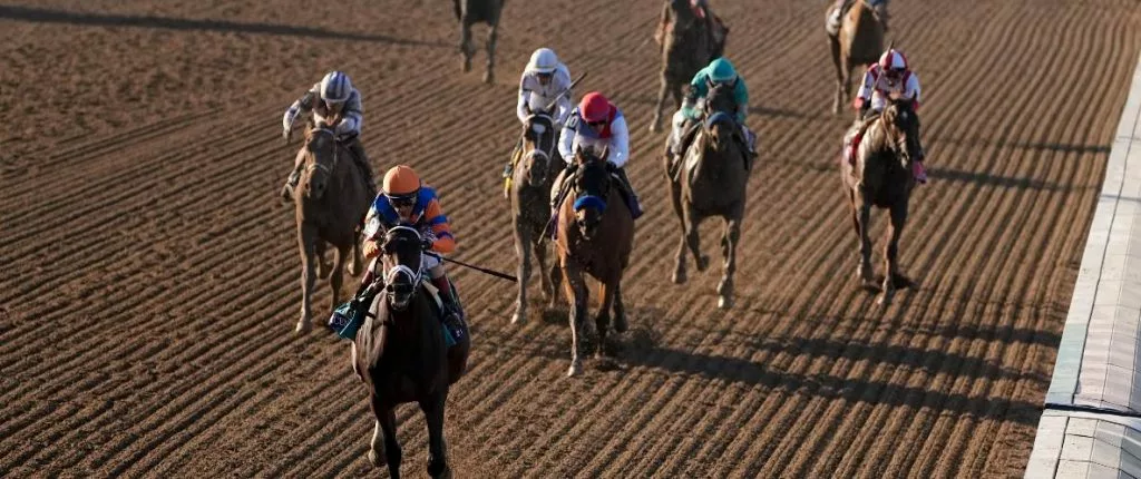 Tampa Bay derby odds