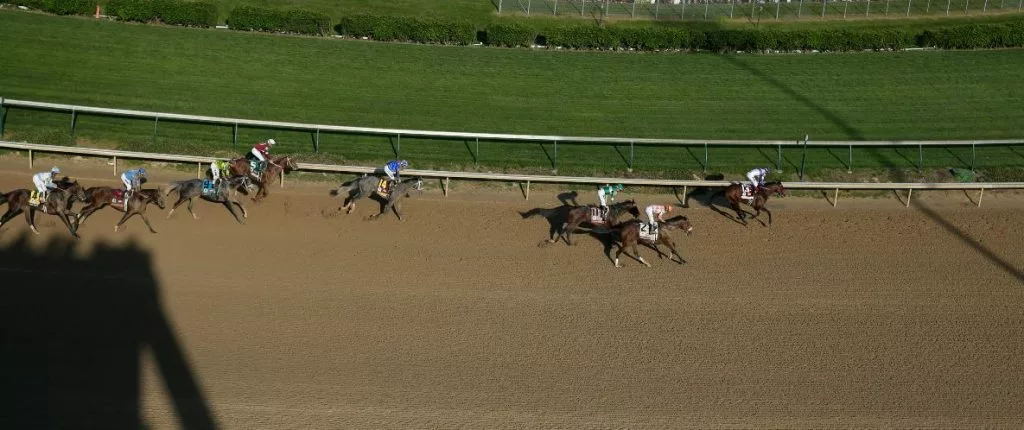 West Saratoga horse