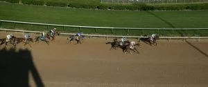 Kentucky Derby 2024: West Saratoga Horse Racing Profile