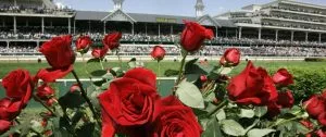 Kentucky Derby 2024: Just Steel Horse Racing Profile