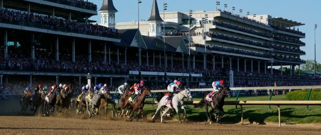 Domestic Product horse