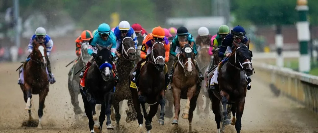 Mystik Dan horse