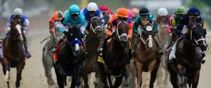 Kentucky Derby 2024: Catching Freedom Horse Racing Profile
