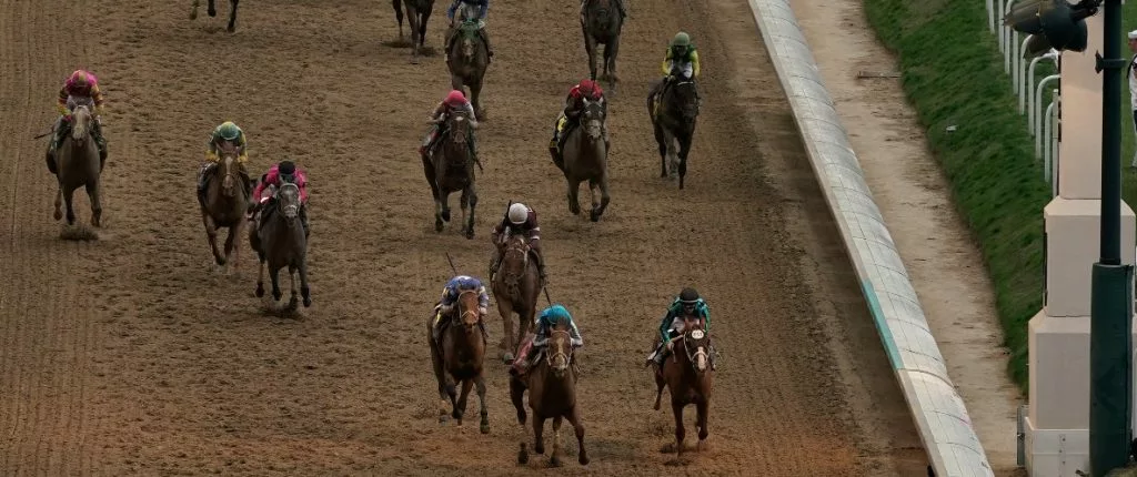 stronghold horse