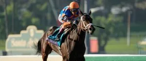 2024 Kentucky Derby Beyer Speed Figures: Who Can Catch Fierceness?