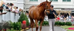 Kentucky Derby 2024: Fierceness Horse Racing Profile