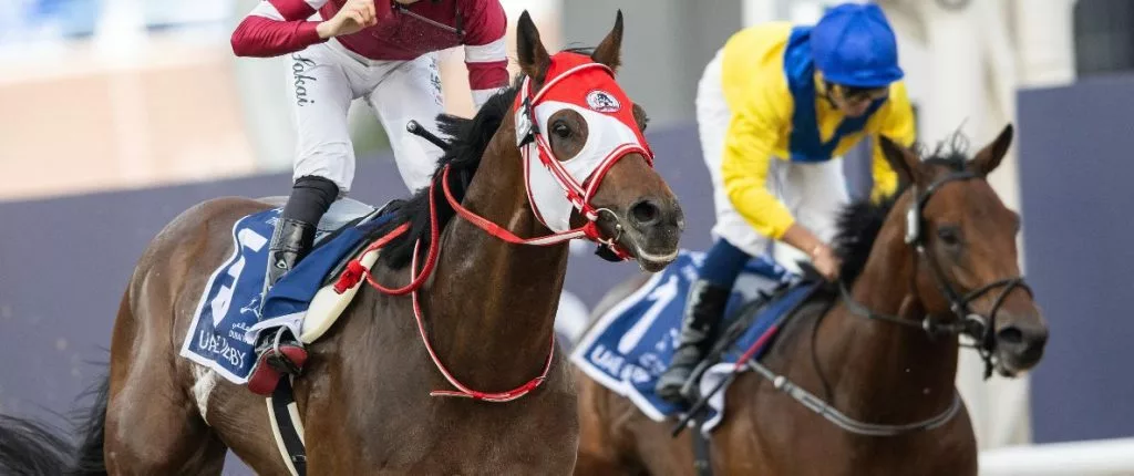 japanese horses in kentucky derby