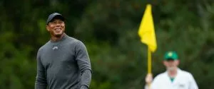 Play TheLines.com's Tiger Bingo Masters Contest For $50 In Prizes