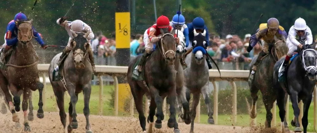 Wood memorial odds horse racing