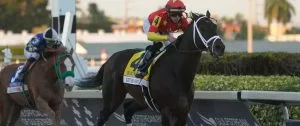 Kentucky Derby 2024: Sierra Leone Horse Racing Profile