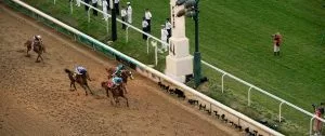 Kentucky Derby 2024: Society Man Horse Racing Profile
