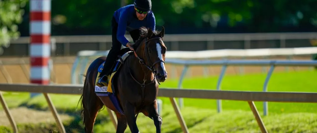 Preakness Odds