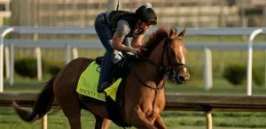 Kentucky Derby Payouts | Win, Place, Show And Exotics