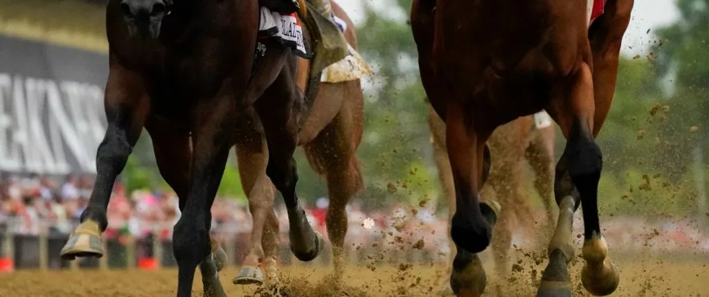 Preakness Stakes Betting Guide