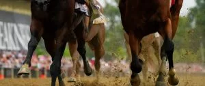 2024 Preakness Stakes Betting Guide: Odds, Free Picks & Predictions Resources