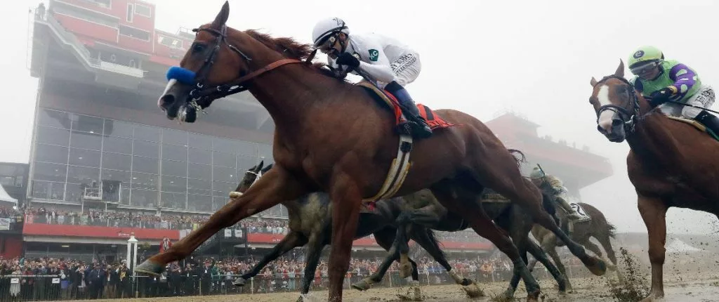 Preakness Odds
