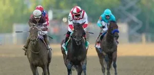 Preakness Payouts | Win, Place, Show And Exotics