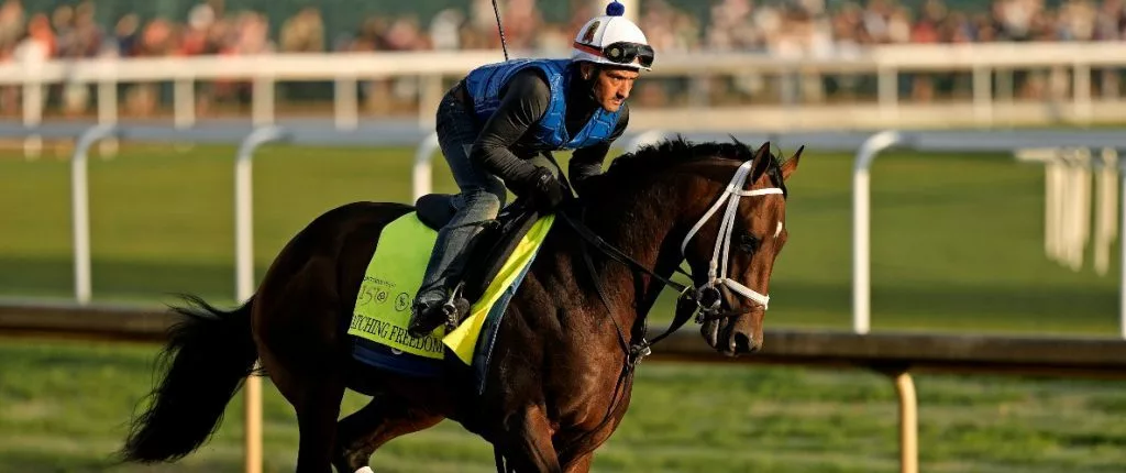 catching freedom horse