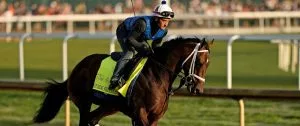 Preakness Stakes 2024: Catching Freedom Horse Racing Profile