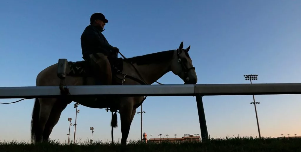 seize the grey horse