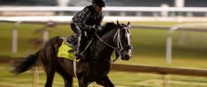 Preakness Stakes 2024: Just Steel Horse Racing Profile