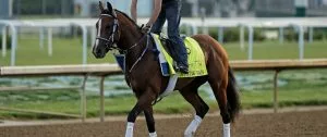 Kentucky Derby Betting: Why Thoro-Graph Ratings Are Important Handicapping Tool