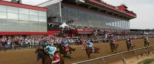 Preakness Stakes 2024: Mugatu Horse Racing Profile