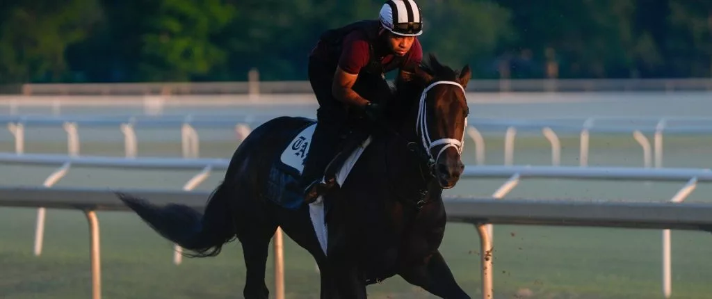 belmont beyer speed figures