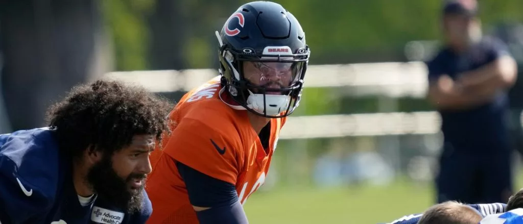 bears odds