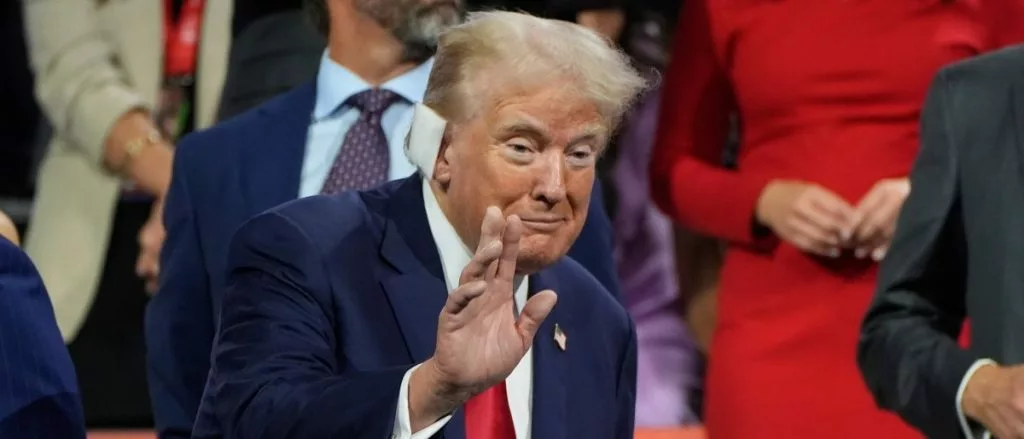 donald trump odds