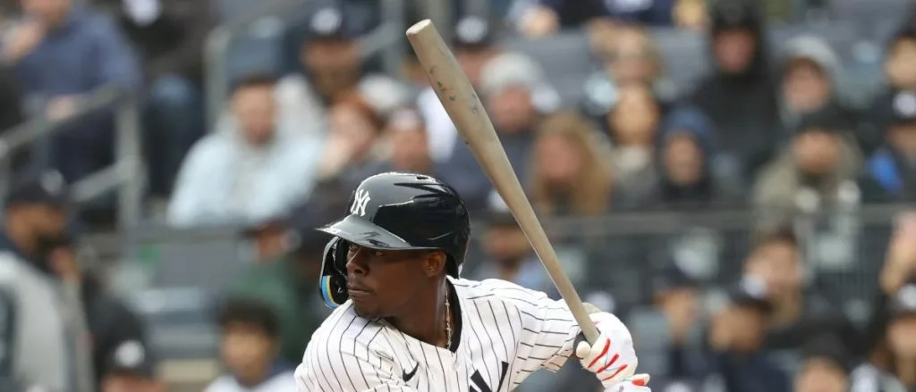 yankees bats