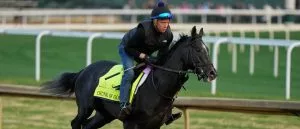 Kentucky Derby Odds & Predictions: Expert Picks, Including Journalism & Chunk Of Gold