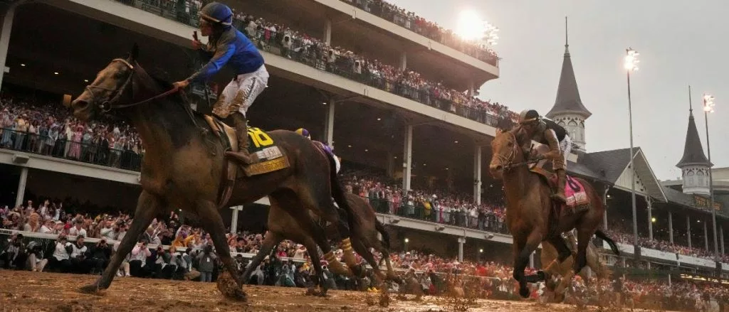 Preakness Stakes Odds