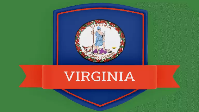 virginia flag online gambling